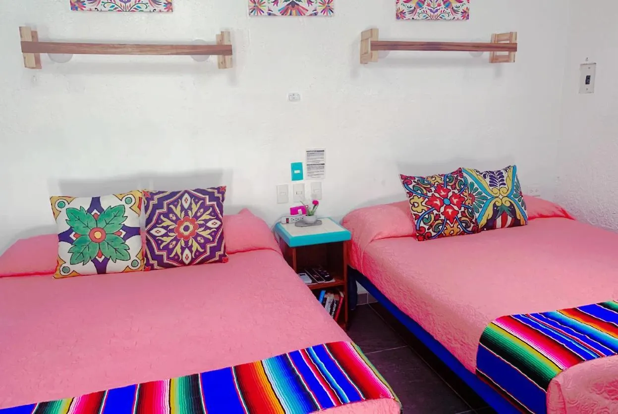 Beautiful Beach Studio In Akumal, Snorkeling Paradise - Wifi, Ac, Parking 0*, 아쿠말